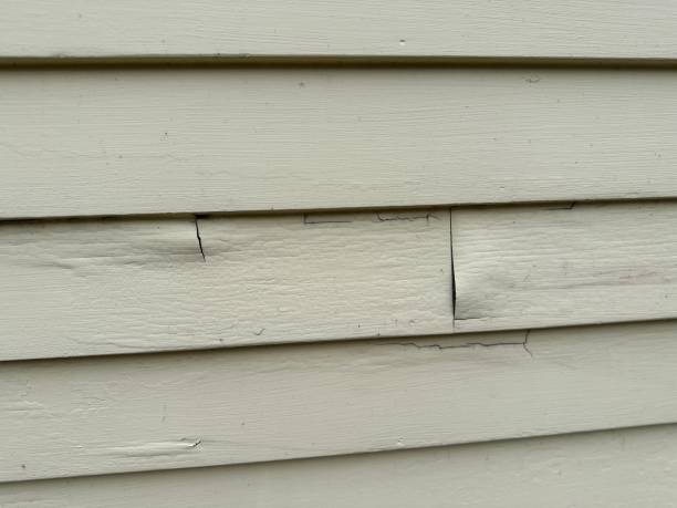 Affordable Siding Repair and Maintenance Services in St David, AZ